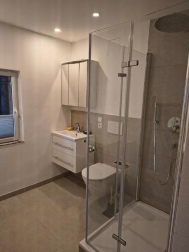 a bathroom with a shower and a toilet and a sink at Appartement83 in Schwäbisch Hall