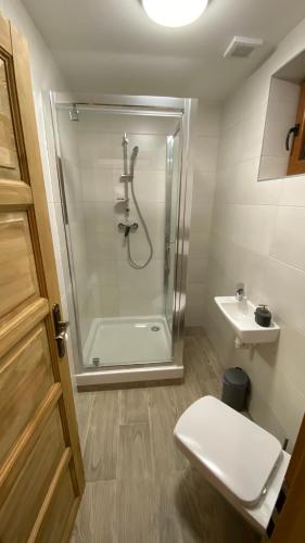 a bathroom with a shower and a toilet and a sink at Chata Dolina v Bachledke in Ždiar