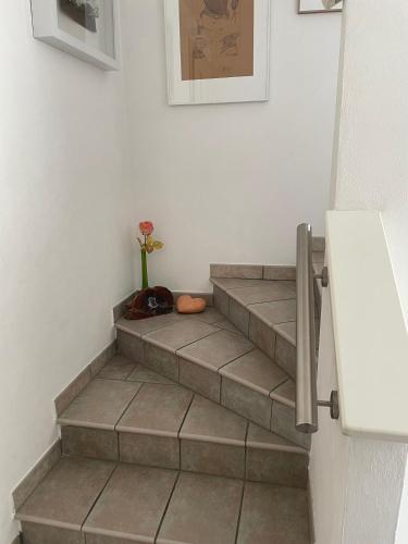 a set of stairs with a flower in a vase at Allegra in Caleri