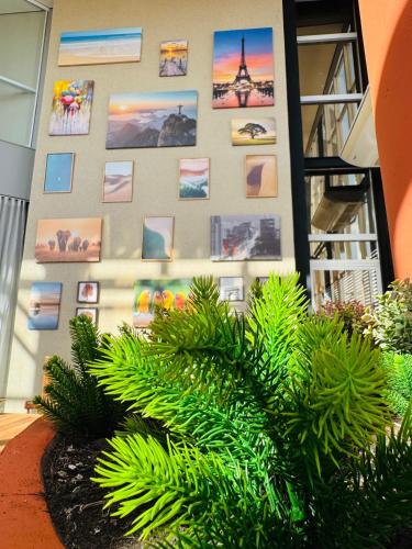 a wall with pictures and plants on it at Riellis Center Hotel in Botucatu