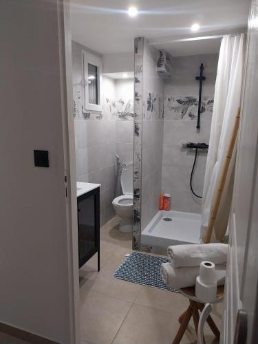 une salle de bain avec une douche, des toilettes et un lavabo dans l'établissement Maison rez de chaussée avec un espace jardin, bien située, à Arles