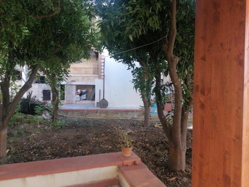 a bench in a yard with trees in front of a building at Casa Tio Pepe in Zingarello