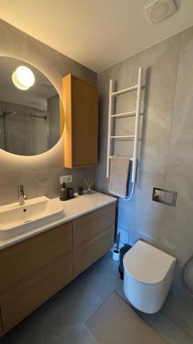 een badkamer met een wastafel, een toilet en een spiegel bij Algirdo Sunlight Studio in Vilnius