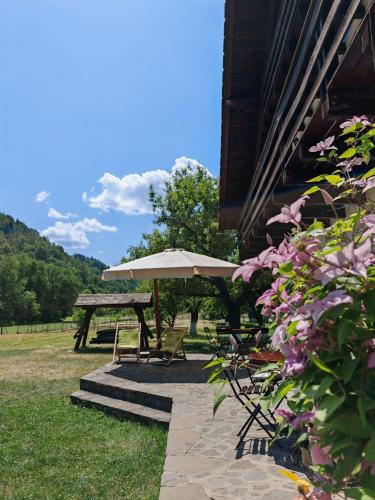 a patio with an umbrella and a picnic table at Căsuța dintre Meri in Moieciu de Jos