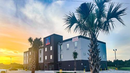 a palm tree in front of a hotel at Studio 6 Giddings in Giddings