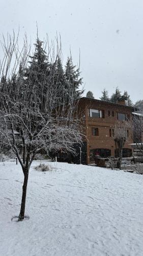 a tree in the snow in front of a building at Le Bouquet Apart Hotel in San Carlos de Bariloche