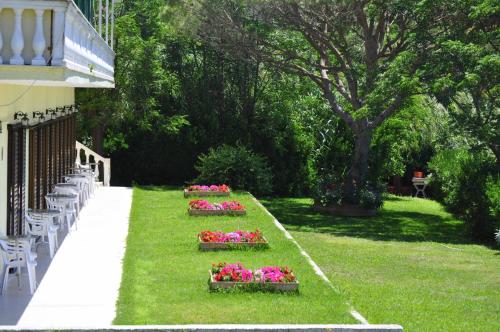 a row of flowers in a yard next to a building at Family Studios in Marathias