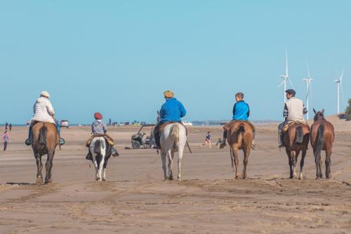 Zvířata v apartmánu nebo okolí