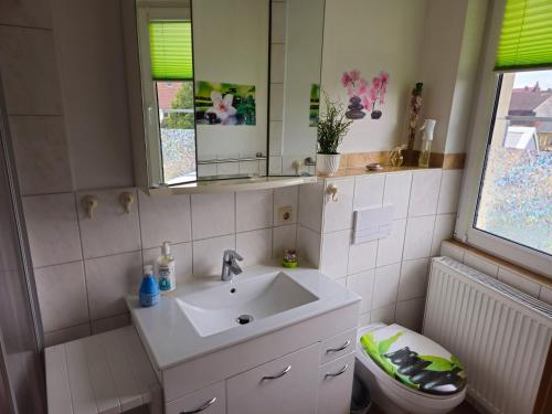 a bathroom with a sink and a toilet and a mirror at Ferienwohnung Martina in Hasselfelde