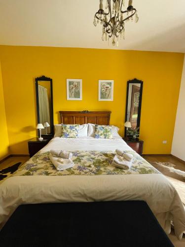 Gallery image of Posada del Olivo in Nonogasta