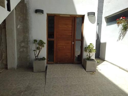 a door to a building with two potted plants at Mar y arena in San Clemente del Tuyú