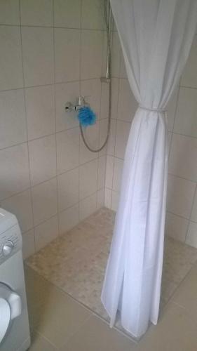 a bathroom with a shower with a shower curtain at Ferienhaus "Buchholz" in Buchholz