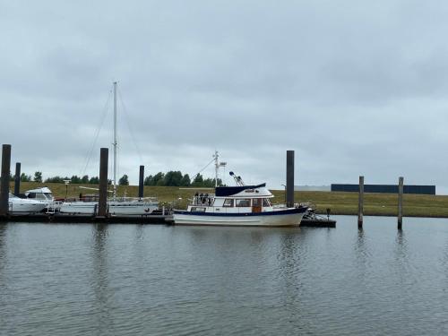 Seewolf photo 26