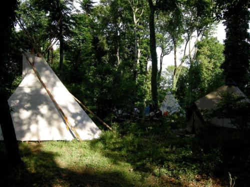 テクレンブルクにあるFerienwohnung auf dem Golfplatz Tecklenburger Landの木の横の草の中にテントが張られている