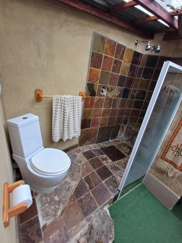 a bathroom with a toilet and a shower at Rustic Unique - Bush Glamping Retreat in Kalkheuvel