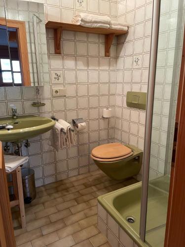 a bathroom with a green toilet and a sink at Ferienwohnung Theresia Oberm, Kreuth-Enterbach in Kreuth