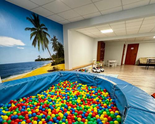 里沃Domki Wachta klimatyzowane z basenem, jacuzzi, bezpłatny parking的房间里有一个装满彩色球的大球坑