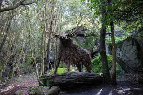 Un paisaje natural cerca de la casa de huéspedes