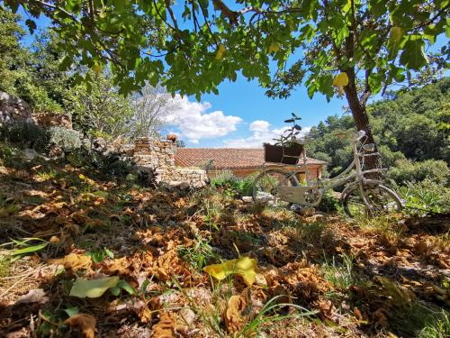 a house with a bike parked on a hill at Agriturismo Tuluschene in Gavoi