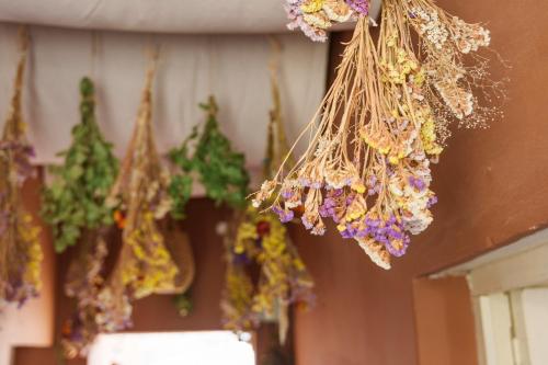 a bunch of dried flowers hanging from a wall at Mestiza Hostal in Humahuaca