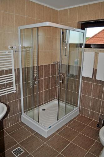 a shower with a glass door in a bathroom at Pensiunea Cheile Apusenilor Cheile Turzii near Turda in Sănduleşti