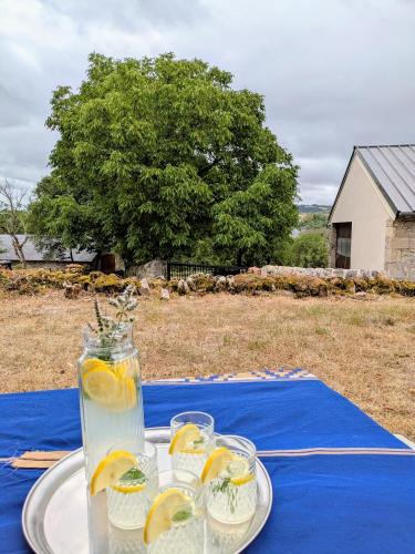 La Maison d'Emile في Sévérac d' Aveyron: طاولة عليها طبق وعليه جرة زجاجية من عصير الليمون
