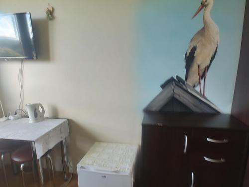 a bird standing on top of a dresser with a desk at Noclegi nad Soliną in Solina