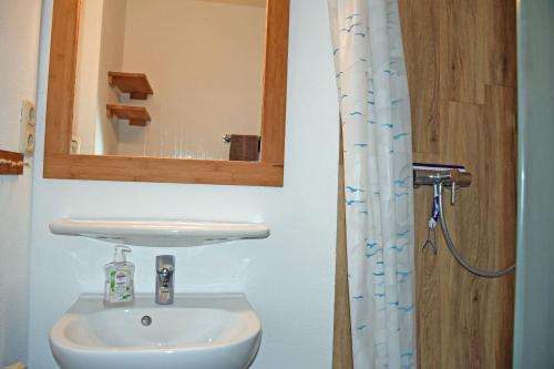 a bathroom with a sink and a mirror at Appartementhaus auf Moenchgut in Thiessow