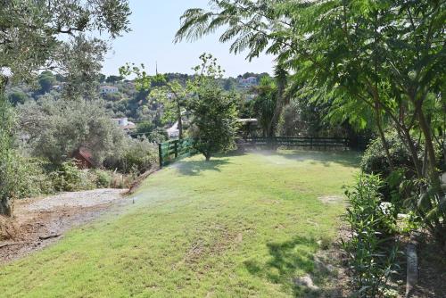 a large grassy field with a fence and trees at Rastoni Apartments Skiathos in Troulos