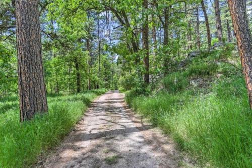a dirt road in the middle of a forest at Grizzly Gulch Cabin Historic in Keystone
