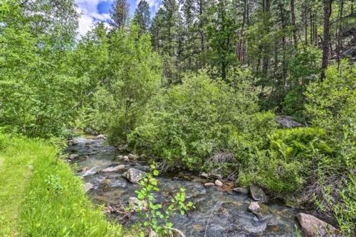 a creek in the middle of a forest with trees at Grizzly Gulch Cabin Historic in Keystone