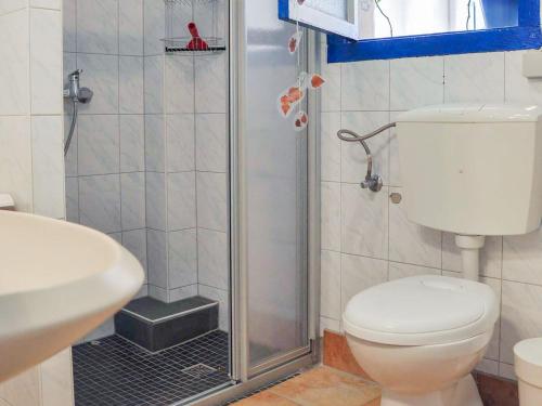 a bathroom with a shower and a toilet and a sink at Ferien auf dem Lande in Tribohm