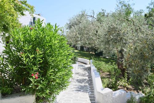 a garden with trees and bushes and a walkway at Rastoni Apartments Skiathos in Troulos