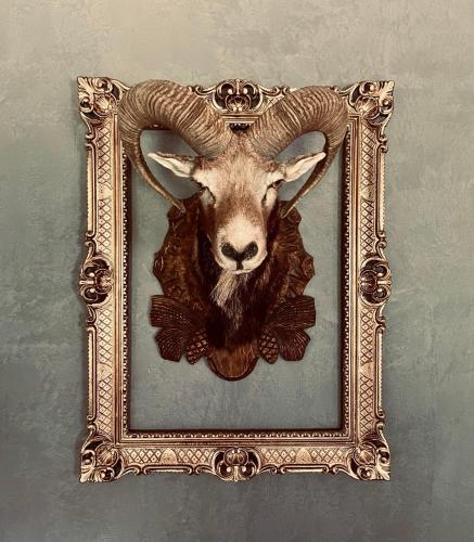a picture of a goat in a picture frame at Chalet Sch l afbock in Priesteblich