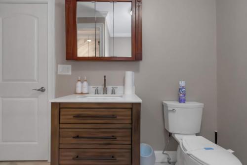 a bathroom with a sink and a toilet and a mirror at The Panola Mansion - Indoor Pool & Pavilion in Stockbridge