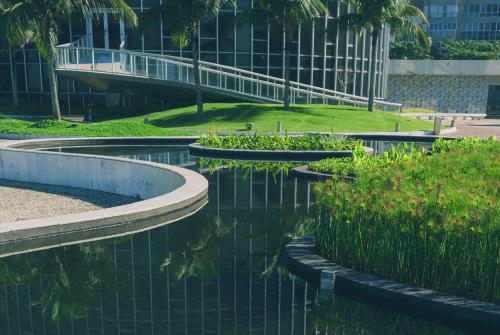 a pool of water with plants and a building at Hotel Nacional Rio de Janeiro - OFICIAL in Rio de Janeiro