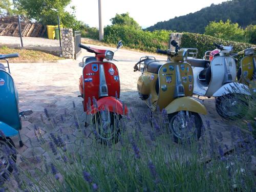 a row of scooters parked next to each other at Casa Perla Holidays in Juraši