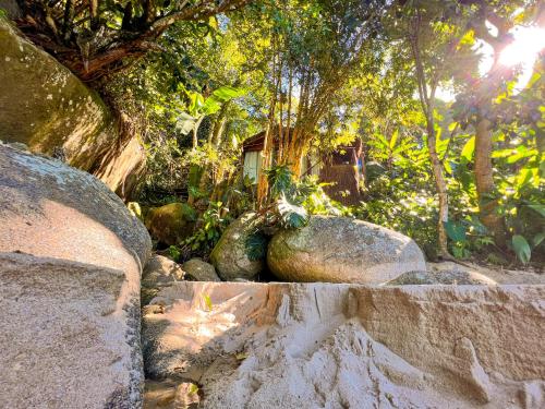 a garden with some rocks and trees and trees at Casa Luz Paraty in Paraty