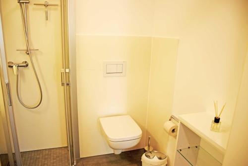 a small bathroom with a toilet and a shower at Ferienappartement mit Balkon im Os in Binz