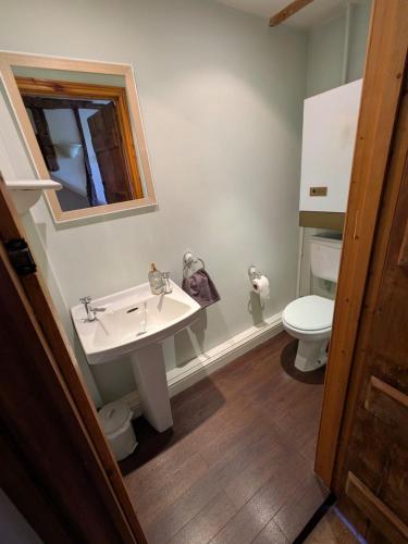 a bathroom with a sink and a toilet at Cosy Georgian Cottage in the Heart of Bewdley, Worcestershire in Bewdley