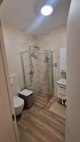 a bathroom with a shower and a toilet at Studi in Divšići