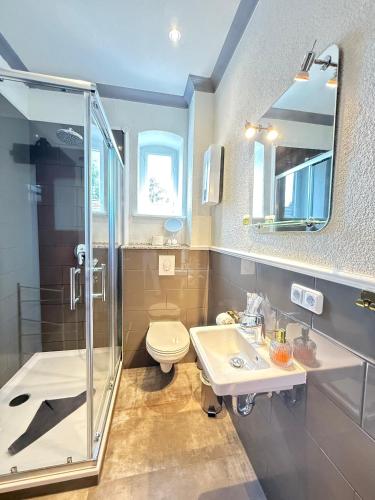 a bathroom with a shower and a toilet and a sink at CG Haensch in Großschönau