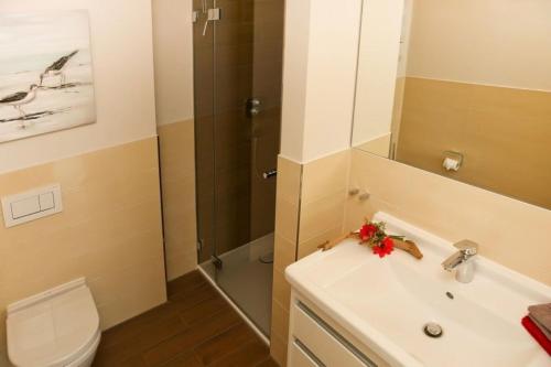 a bathroom with a toilet and a sink and a shower at Fewo Rosenhof TW Queen in Kühlungsborn