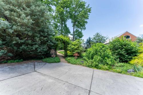 a driveway in a yard with trees and a house at Hoot Owl with a private hot tub in Bryant