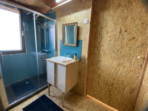 a bathroom with a sink and a shower at l'insolite in Belmont