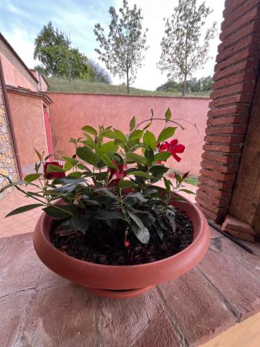 a plant in a red pot sitting on a porch at Casale la COLLINA DEI CILIEGI in Acquapendente