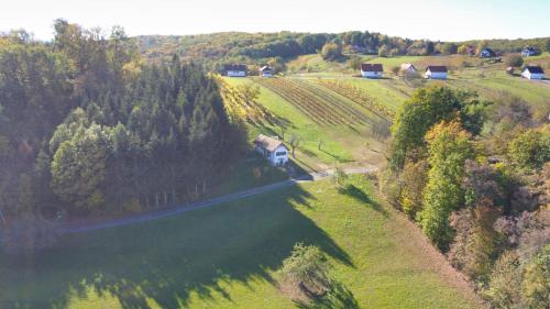 an aerial view of a farm with a house in a field at Kellerstöckl Leitner in Strem