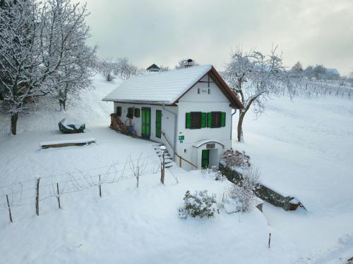 a small house with green shutters in the snow at Kellerstöckl Leitner in Strem
