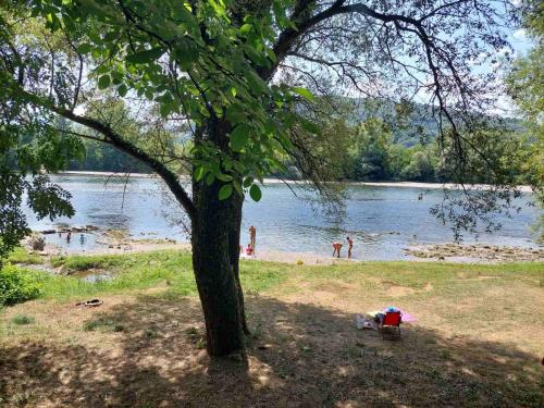 a tree sitting next to a lake with people on the beach at Apartman Ploče in Bajina Bašta