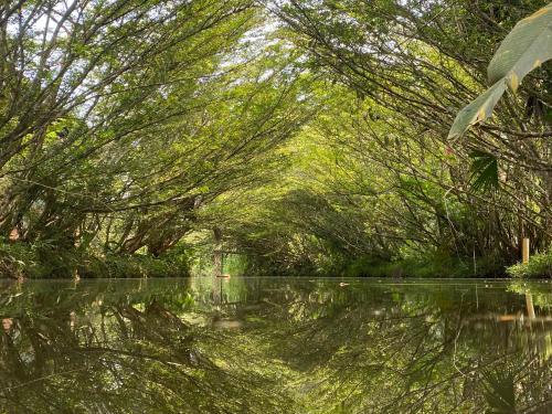 a river with trees and reflections in the water at Ama Ecolodge in Puerto Misahuallí